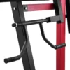 2-in-1 Preacher Curl and Triceps Extension Machine Bench