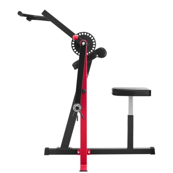 2-in-1 Preacher Curl and Triceps Extension Machine Bench