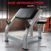 Seated Preacher Curl Weight Bench for Home Gym Strength Training
